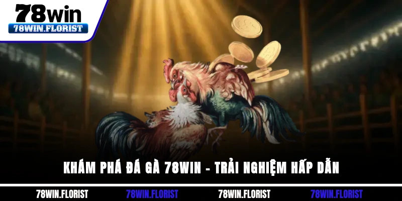 Khám Phá Đá Gà 78win – Trải Nghiệm Hấp Dẫn